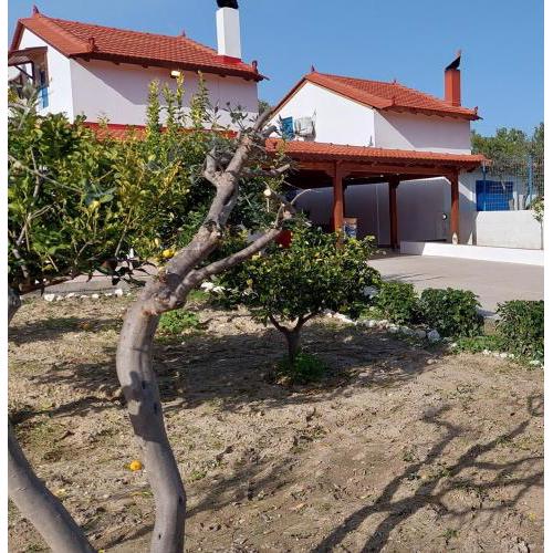 Aleyna house Lindos area