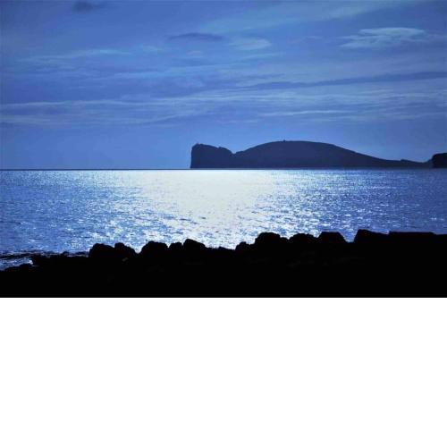 ALGHERO SUN & SEA - Spiaggia a 50 metri
