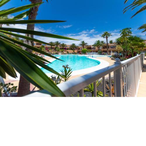 AlicesBungalowPoolView-Summer