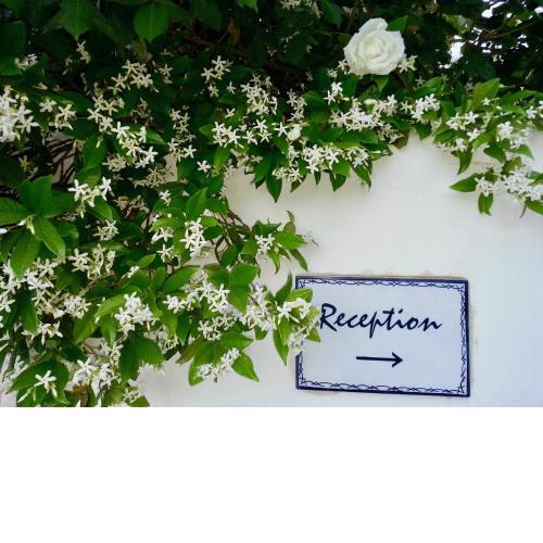 Alivi Country Resort