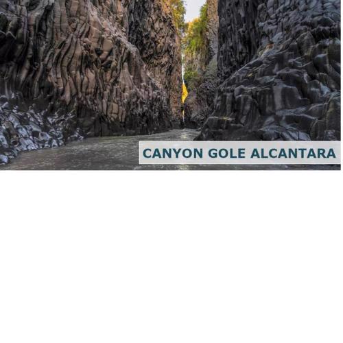 Alkantara Holiday