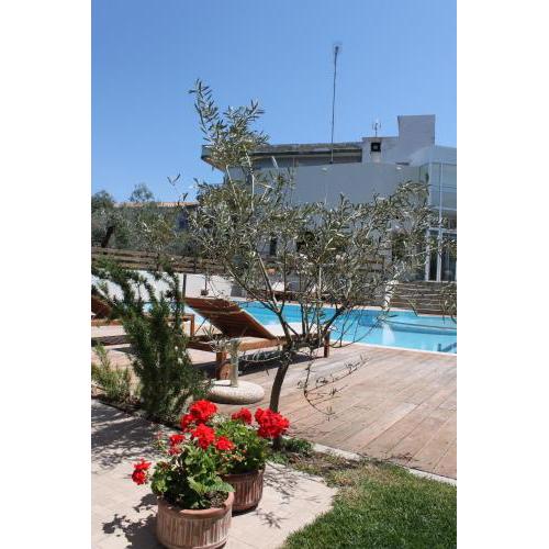 Alkistis Hotel