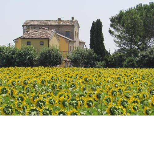Alla Bigattiera