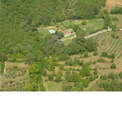 All'Antico Silbule