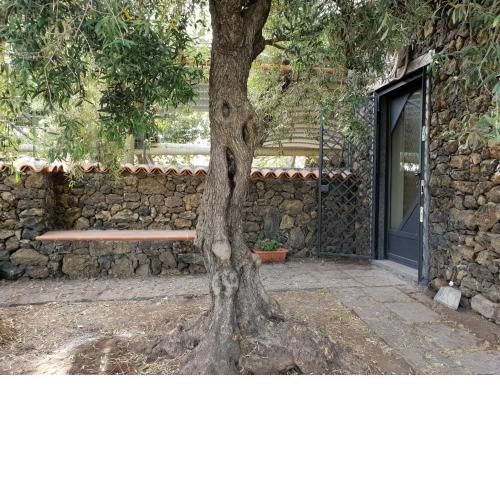 Alle pendici dell'Etna