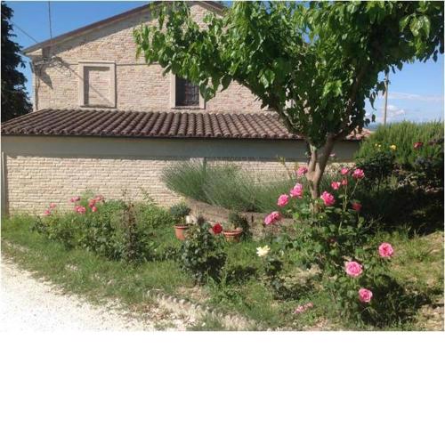 All'ombra degli Ulivi B&B