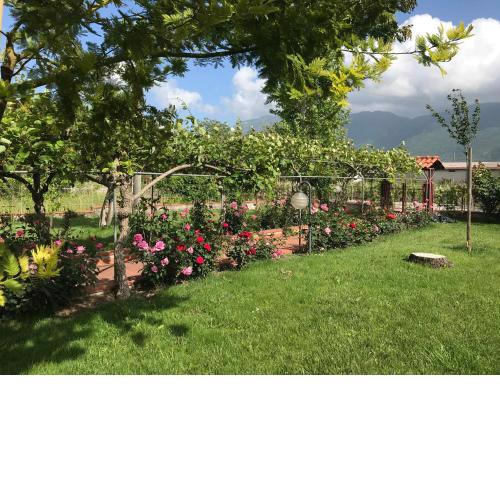 Alma Migrante bed&wine