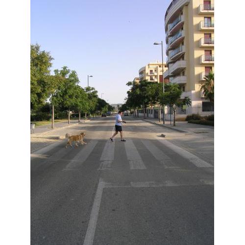 Alojamiento turístico en playa Torre del Mar
