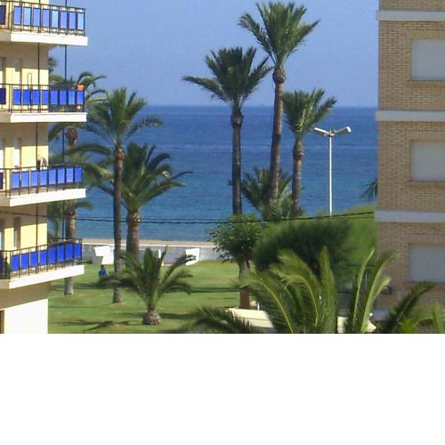 Alondras Playa Denia