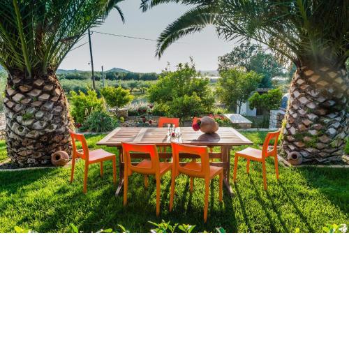 Aloni Home