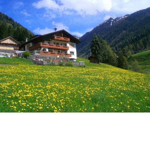 Alpegger
