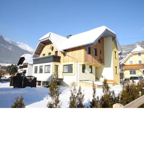 Alpensteinbock Mauterndorf I