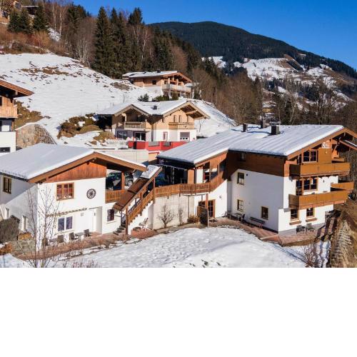Alpensteinbock Saalbach A