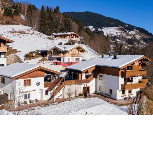 Alpensteinbock Saalbach B