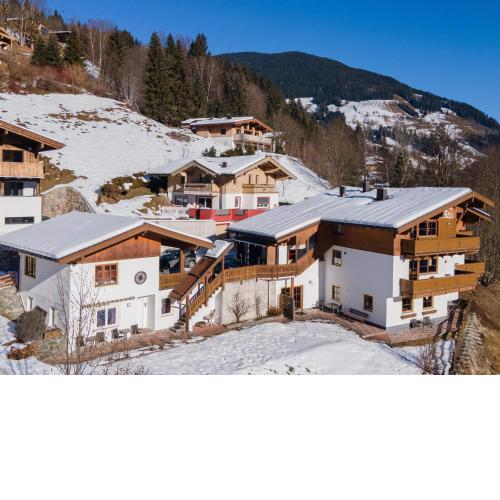 Alpensteinbock Saalbach C