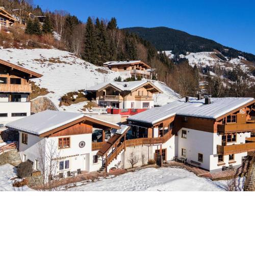 Alpensteinbock Saalbach D