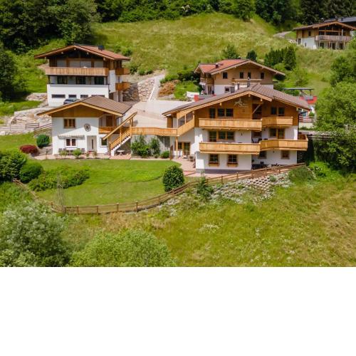 Alpensteinbock Saalbach L