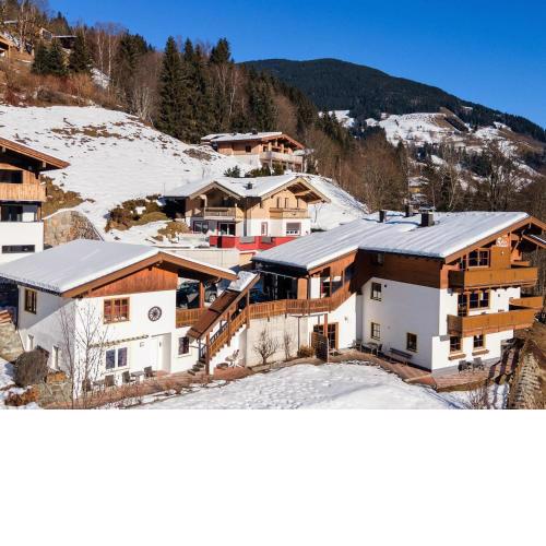 Alpensteinbock Saalbach