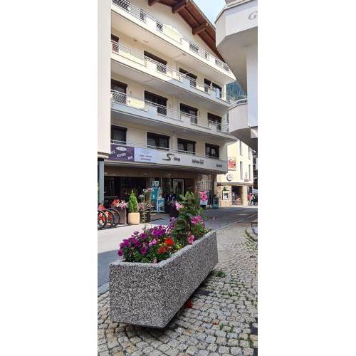Alphotel Garni Salner