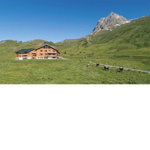 Alphus Appartements