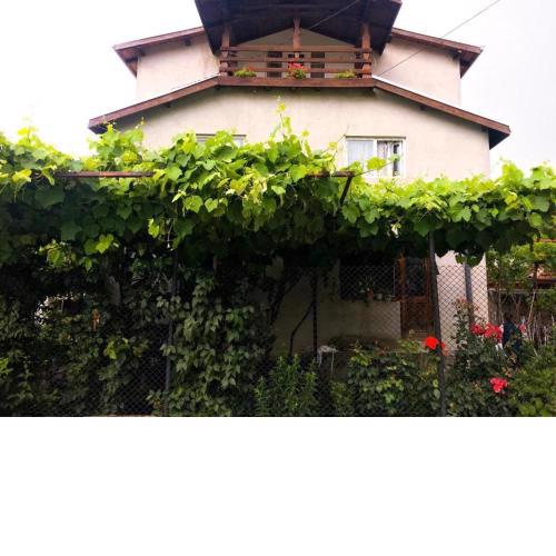 Alpin Guest House