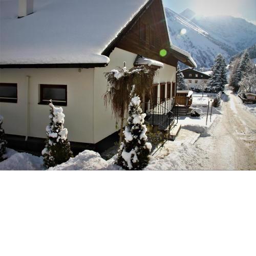 Alpin Haus Berwang