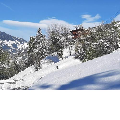 Alpine cottage with exceptional view