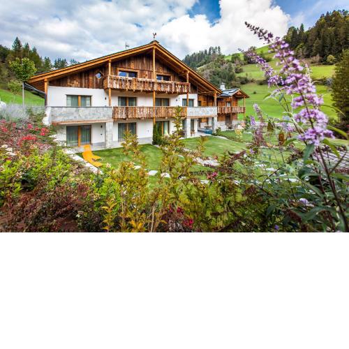 Alpine Mountain Chalet