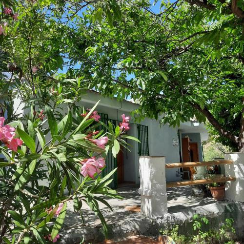 Alpujarra Guesthouse, cortijo sostenible y aislado a 1100 metros sobre nivel del mar