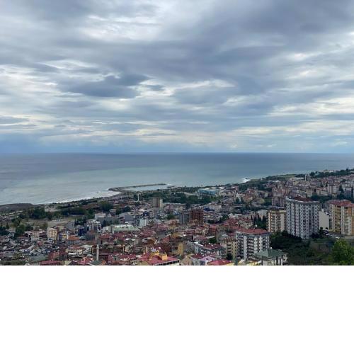 ALSALEH GROUP EVLERI