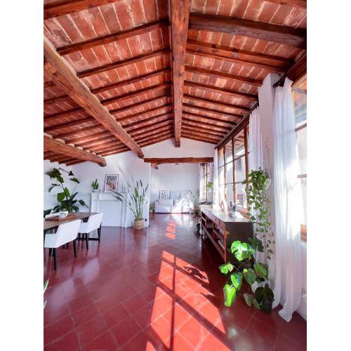 Altana Roof-Terrace Apartment
