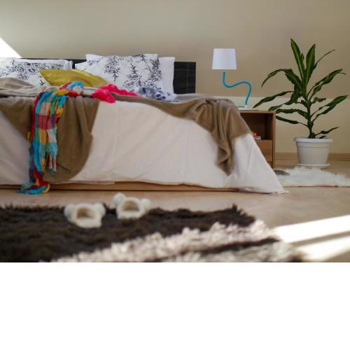 Altavista mountain apartment
