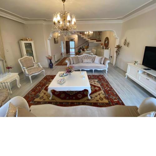 Altay Villa 2