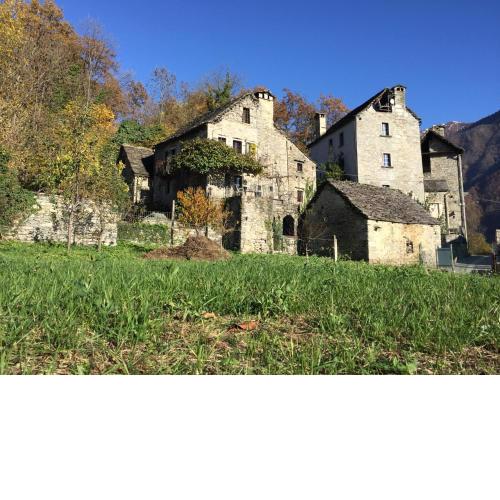 Altus - Borgo Amore