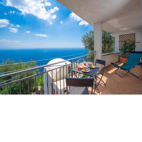 Amalfi Coast Bougainvillea