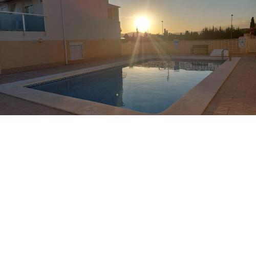 AmaNacer Oliva