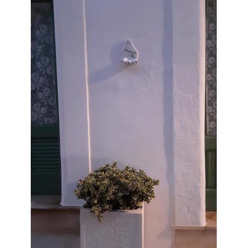 "Amarcord" casa in piazza
