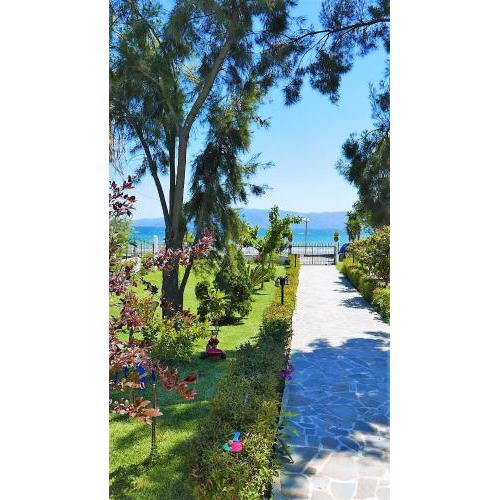 Amarynthos Beachfront Vacation House with garden