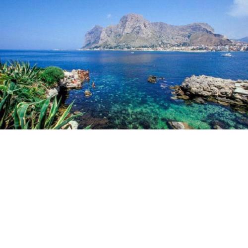 AMATI HOLIDAYS