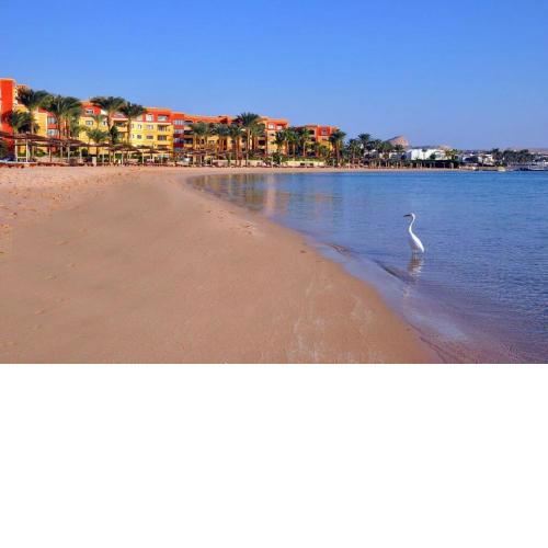 Amazing 2 bedrooms flat in Esplanada with sea view