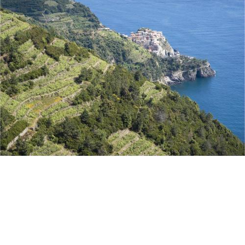Amazing apartment in Fezzano with WiFi and 2 Bedrooms
