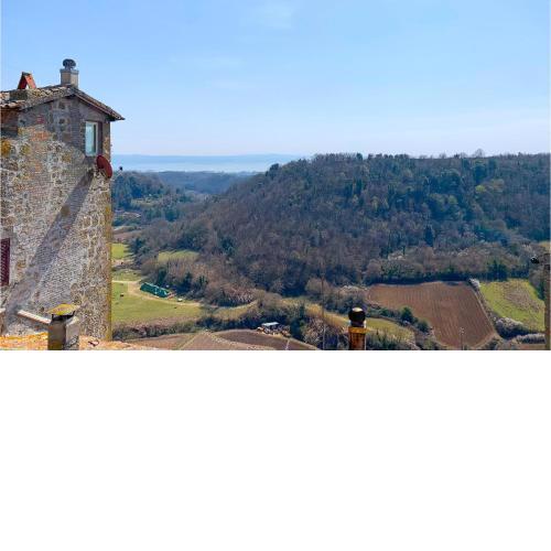 Amazing Apartment In Grotte Di Castro With 2 Bedrooms