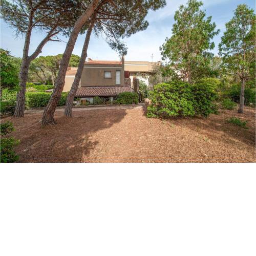 Amazing apartment in Stintino with 1 Bedrooms