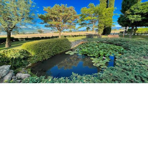 Amazing contemporary Villa with pool - Italian style Spelloissima - Sleeps 11