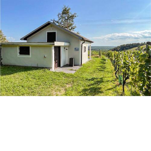 Amazing home in Eisenberg an der Pinka with WiFi and 1 Bedrooms
