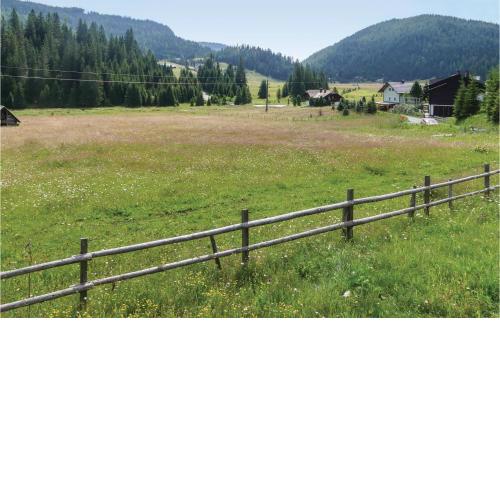 Amazing home in Flattnitz w/ Internet and 2 Bedrooms