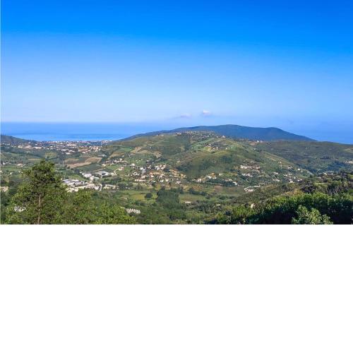 Amazing home in Laureana Cilento with Jacuzzi, 3 Bedrooms and WiFi