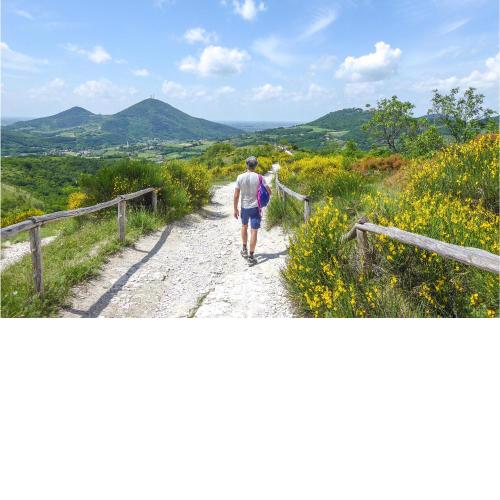 Amazing home in Monselice with WiFi and 1 Bedrooms