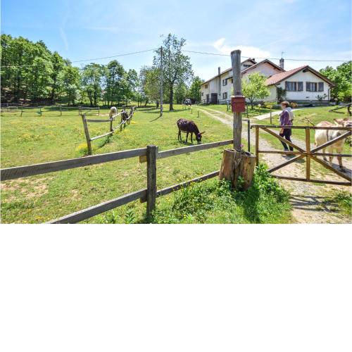 Amazing home in Tiglieto with 4 Bedrooms