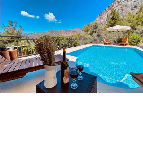 Amazing Villa w Private Pool BBQ in Gocek